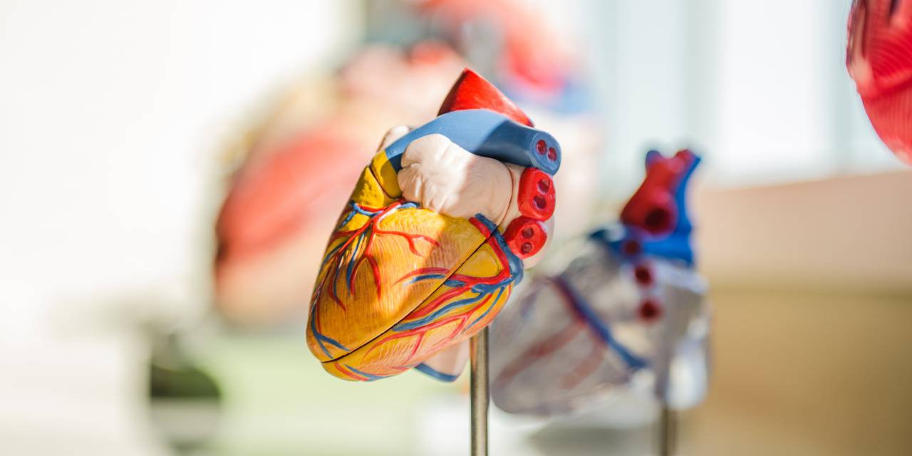 Cardiology in Zürich
