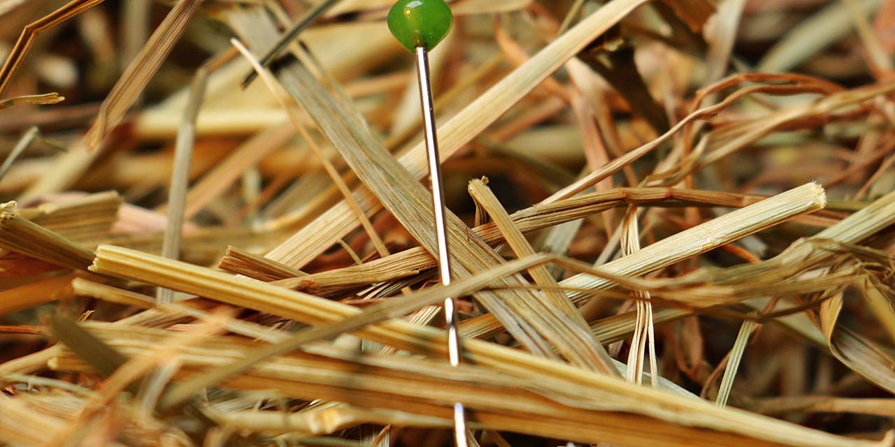 Wie Du in Zürich ein Wohnung findest.