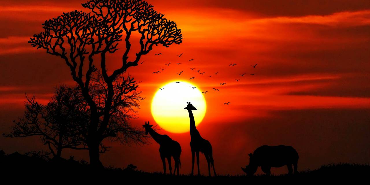 Afrikanische Restaurants in Zürich